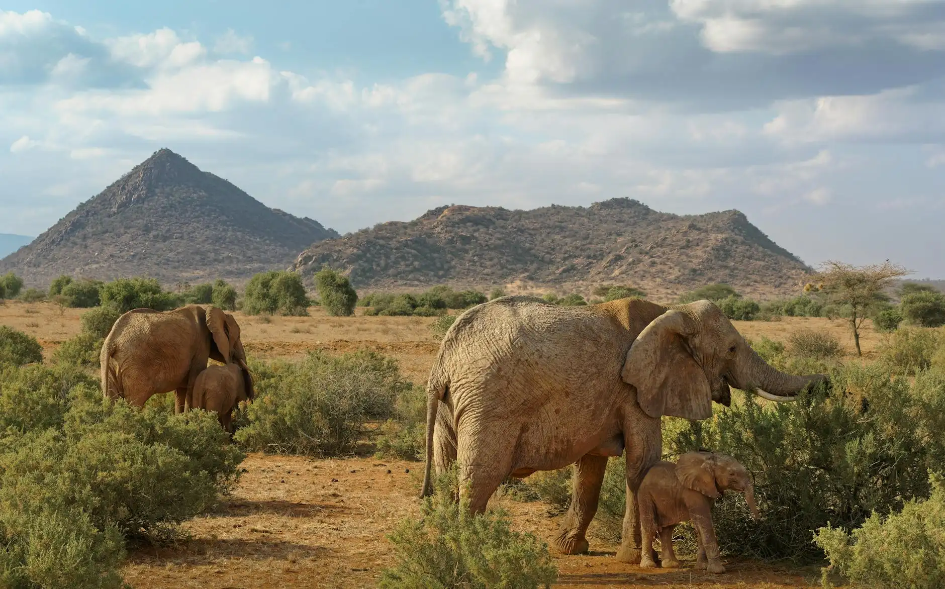 Maria Williams Portfolio 8